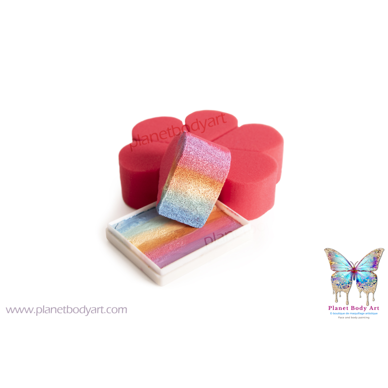 Lot 6 éponges Pétales roses - PXP - exemple